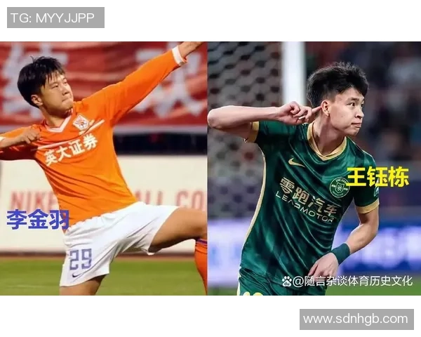 足球天才Meriva的崛起之路 从青训到世界舞台的辉煌征程